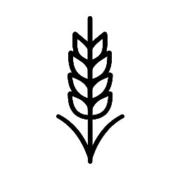 Purezeit